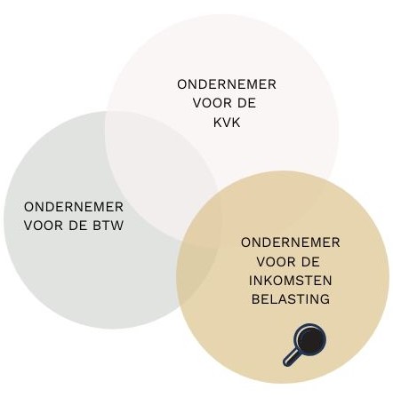 kleininkomstenvlak inkomstenbelasting