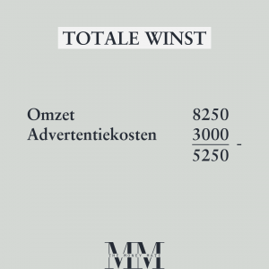 winstgevend adverteren hoe moet dat