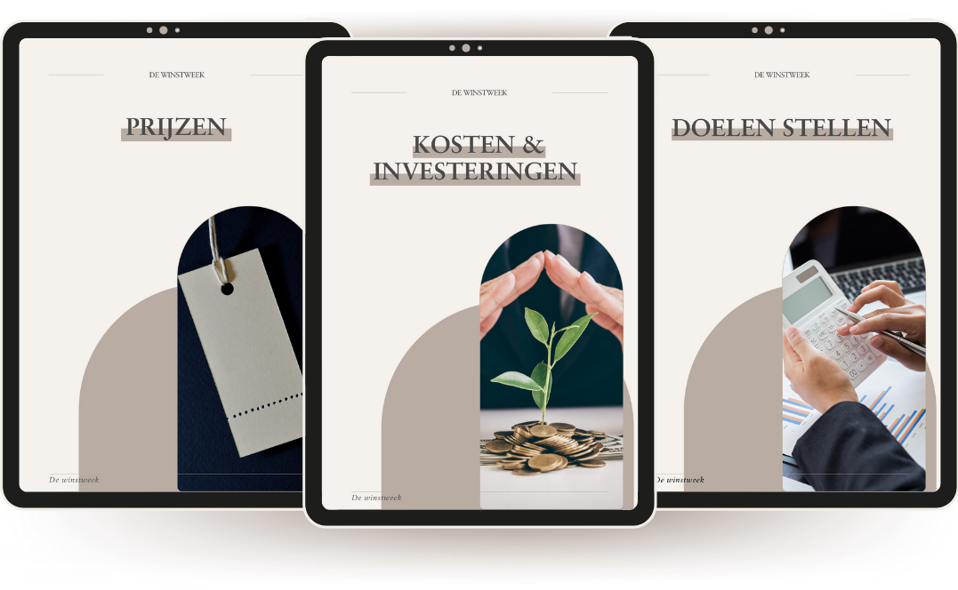 Marissa Bonants - Financieel inzicht Marissa Bonants - Financieel inzicht