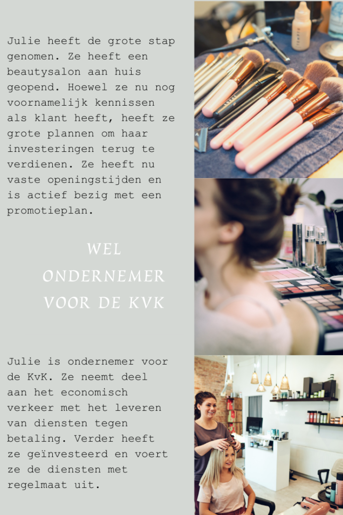 wel ondernemer kvk