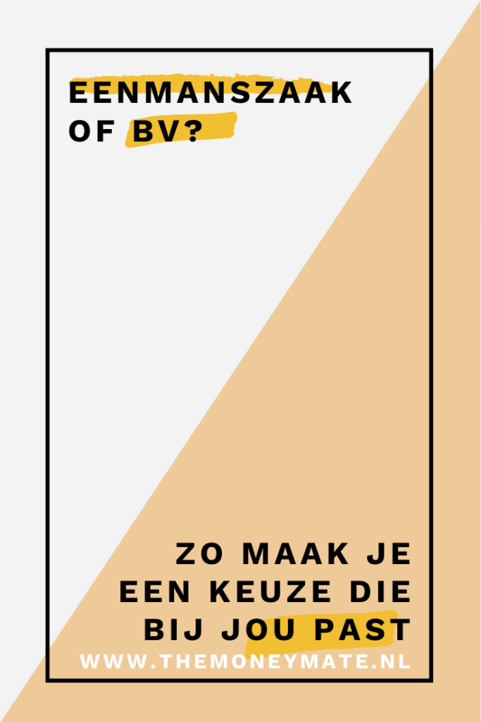 eenmanszaak bv