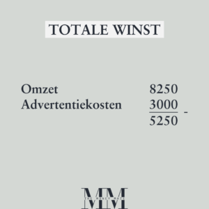 winstgevend adverteren hoe moet dat