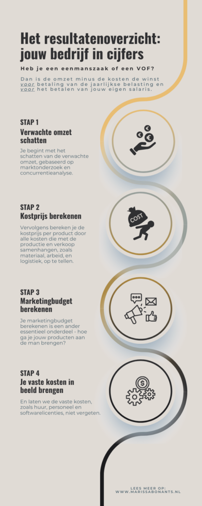 Een infographic waarin de informatie van het hoofdstuk over het resultatenoverzicht is samengevat.